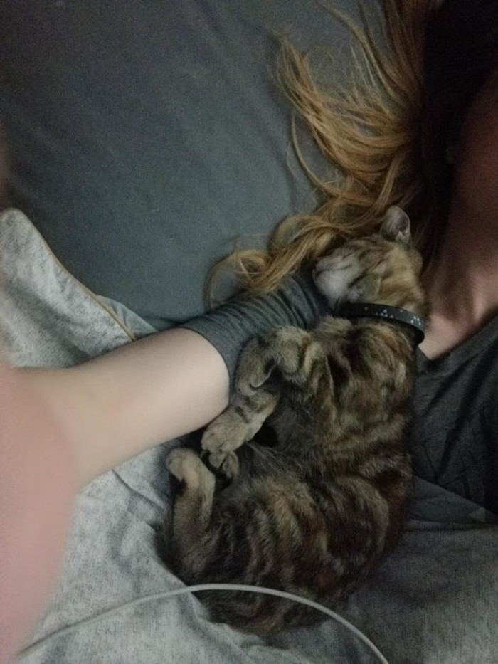 23. I can't move because it's against animal law, rules are rules