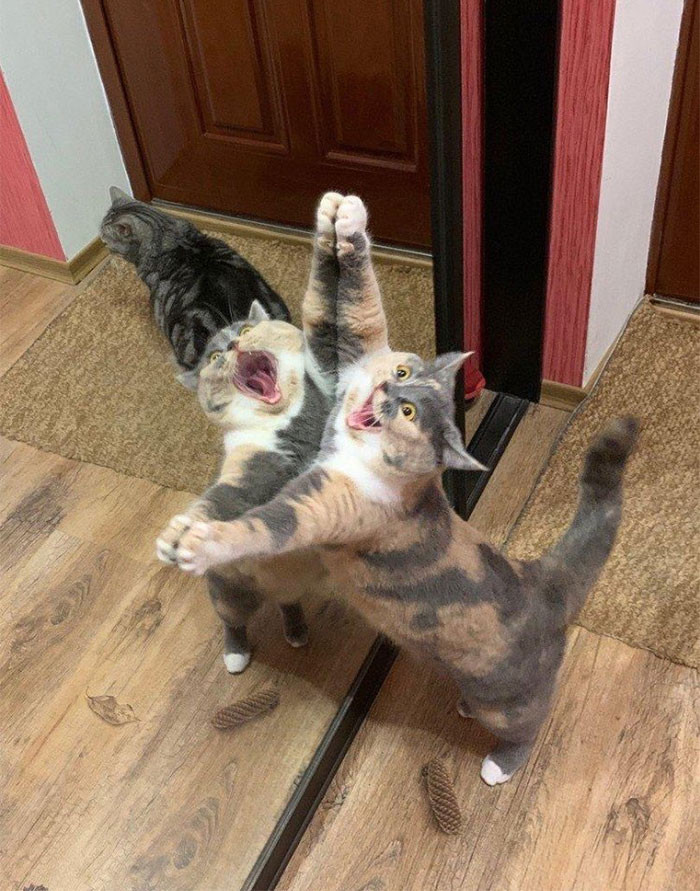 38. Must get...into...other dimension