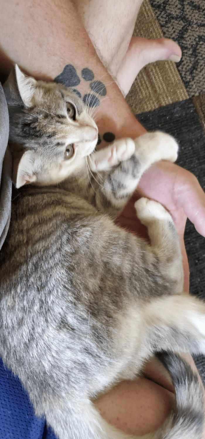 6. "Good morning from Lulu! She’s starting to not seem too feral anymore"