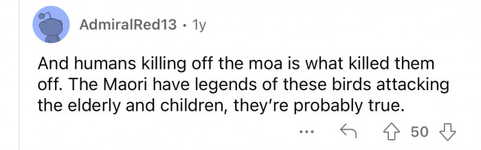 The birds used to attack humans, especially the elderly and children.