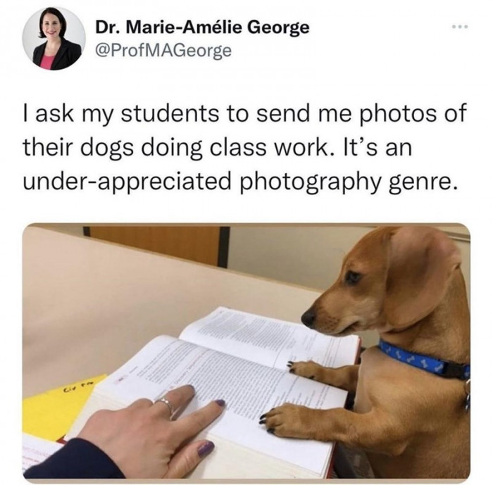 16. Be careful—it may eat your homework...