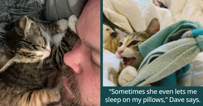 Tough Kitten Walks Into Pizza Shop and Declares It Her Domain – The Chef Had No Choice But to Agree