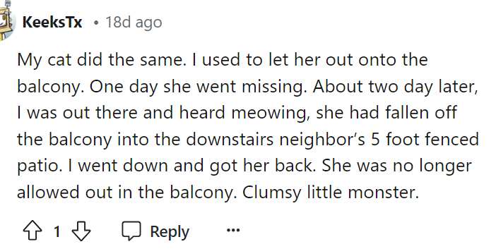 This person actually mentioned that their cat did something similar and that she found it two days later in their neighbor's five-foot fence.