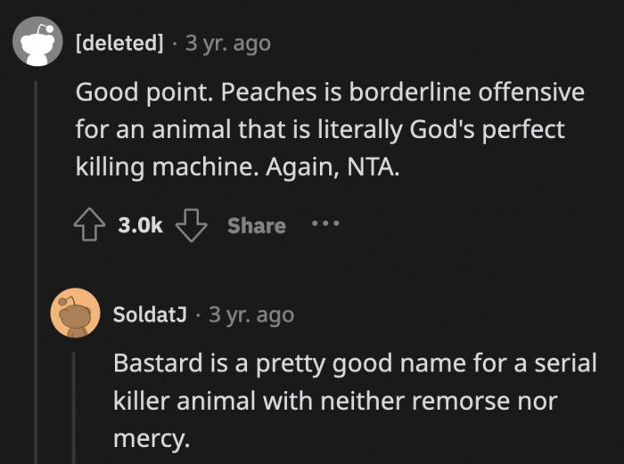 If anything, Bastard is the better and more approriate name for a cat