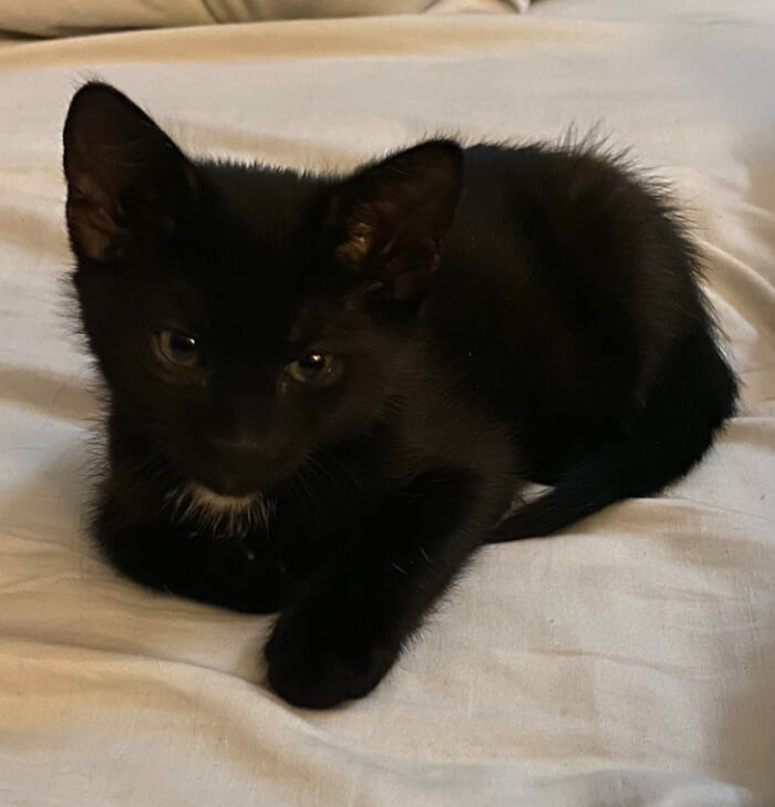 4. “This little dude needs a name, any suggestions?”