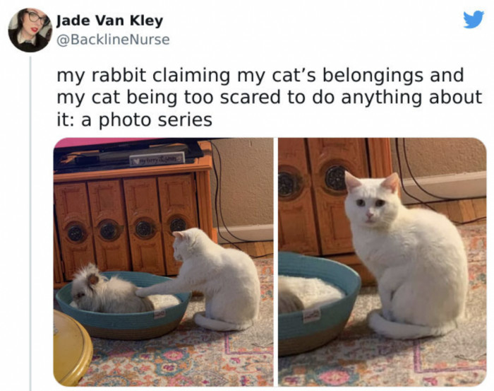 41. MooOooom! Look, Bunny took all my toys again!