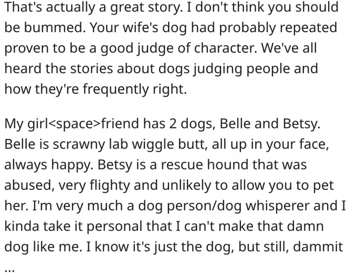3. Dogs are well-known for being good judges of character.
