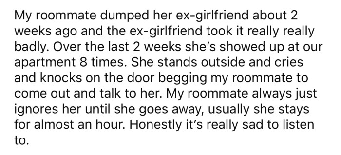 Redditor Asks If Shes An Ahole For Letting Her Roommates Drunk Ex Into Their Apartment To 5268