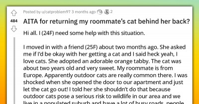 A New Cat Owner Is Devastated After Her Roommate Returned Her Cat To The Rescue Without Her Knowledge