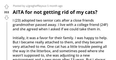 Girl's Roommate Gives Her An Ultimatum About Her Cats And Says That She Should Get Rid Of Them Or She Will Move Out