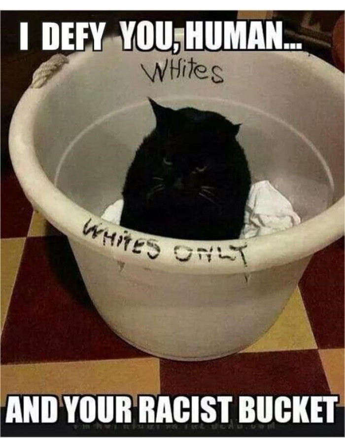 5. You can't have a bucket for whites only when I'm here