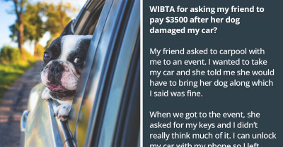 Car Owner Is Shocked To Find Her Car Damaged After Her Friend Left Her Dog In The Vehicle Without Permission