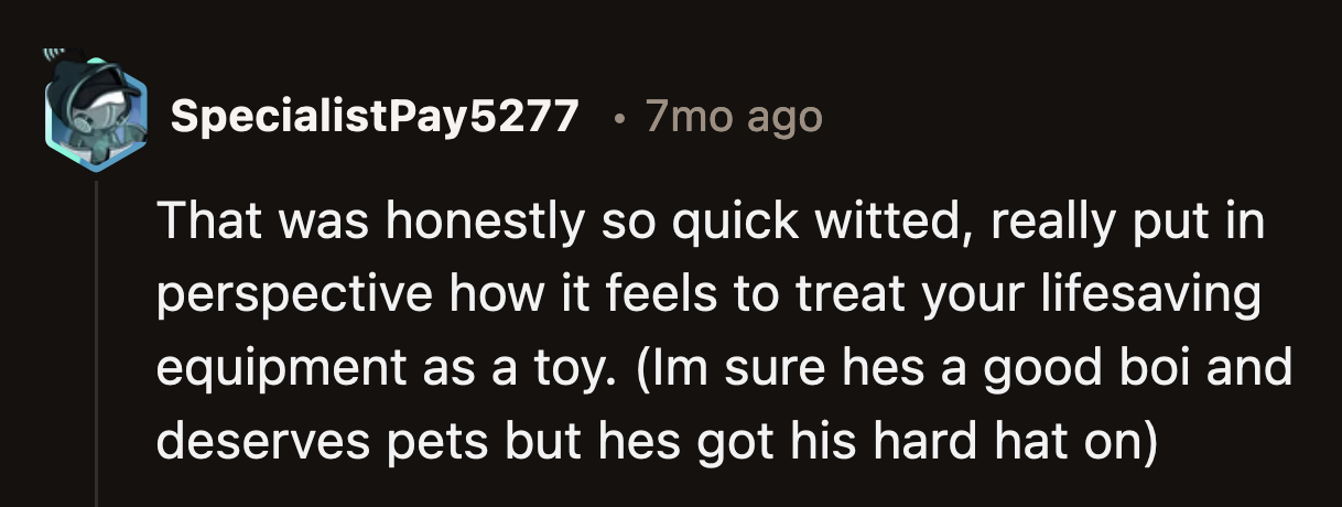 OP's dog knows he has a job to do. He was trained for that. While he has a cute and fluffy exterior, he is first and foremost a working animal who shouldn't be distracted from his life-saving duties.