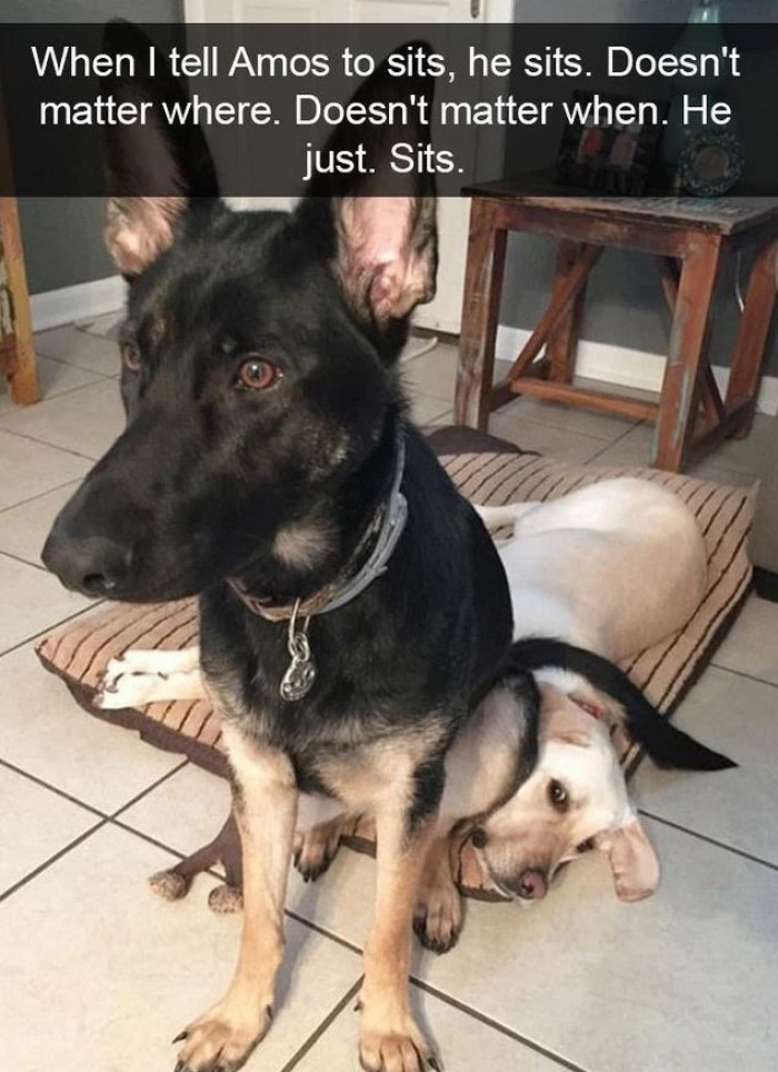 8. A comfortable place to sit