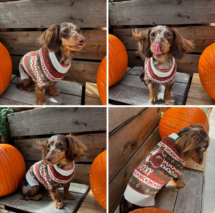 "Sweater Weather"