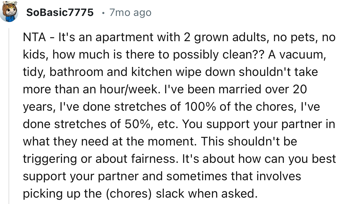 “NTA - It's an Apartment with 2 Grown Adults, No Pets, No Kids, How Much Is There to Possibly Clean??”