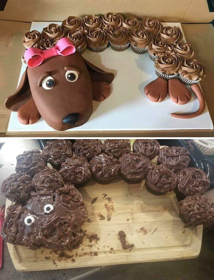 14. Expected a dog cake, but the result is this monstrosity.