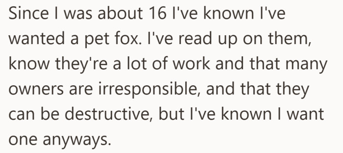 A childhood dream, fully aware of the downsides, but held onto anyway.