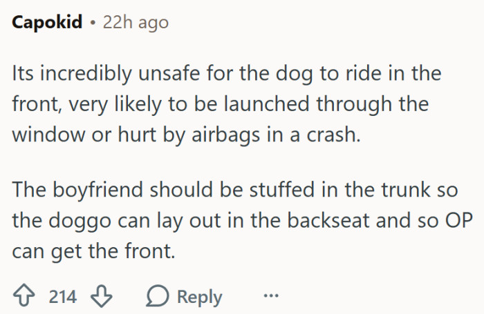 A dog riding in the front seat is not really what you'd call safe