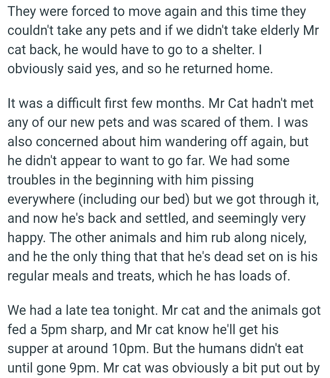 They got through it, and now the cat is back, settled, and seemingly very happy