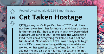 Heated Fight Takes Place As Teenager Calls Out Her Entitled Aunt For Taking Her Cat Hostage, Redditors React