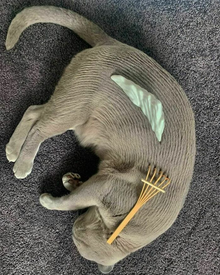 19. Someone is really deep in sleep