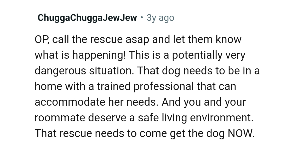 The rescue needs to come get the dog