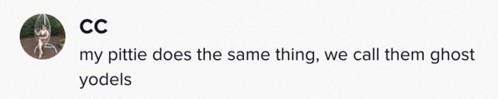 This viewer says their pittie does the same thing, and they call them "ghost yodels."