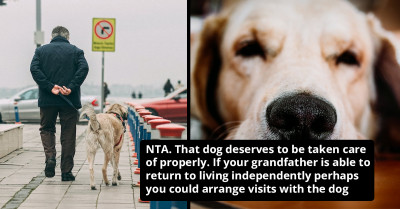 Redditor Asks If It Is Okay To Steal Grandpa's Maltreated Dog