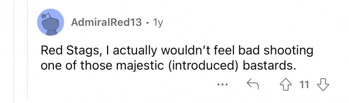 Red stags are majestic as hell.