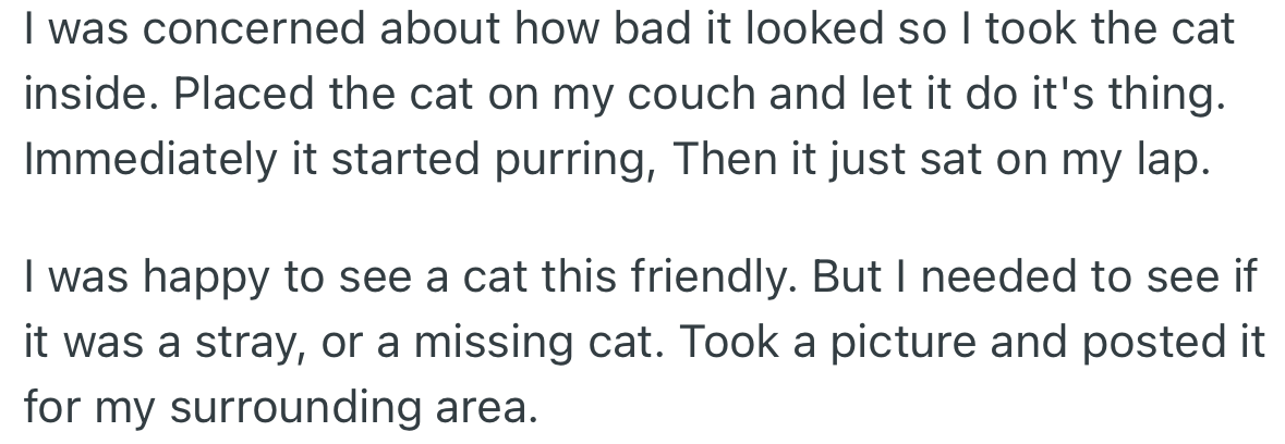 OP felt concerned about how the cat looked and posted a picture of the cat to determine the owner.