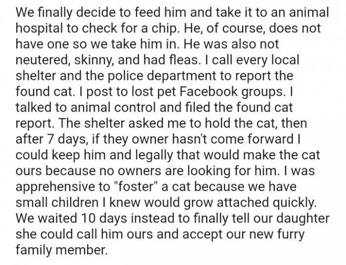 That would make the cat ours because no owners are looking for him