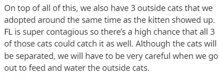 They also have three outside cats that the leukemia could easily spread to.