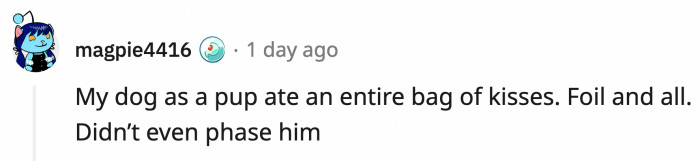 Smart dog who didn't leave any evidence of the crime