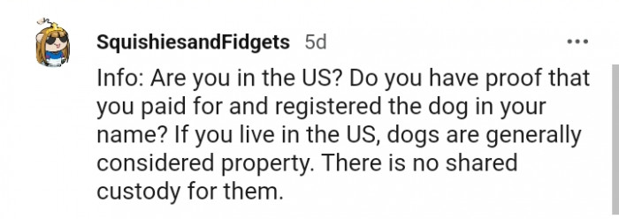 In the US, dogs are generally considered property