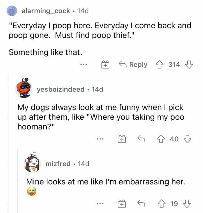 #4 If hoomans knew what their dogs were thinking.