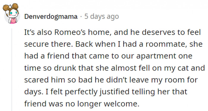 2. It's up to pet owners to create a safe environment for their pets where they can feel perfectly comfortable and at ease