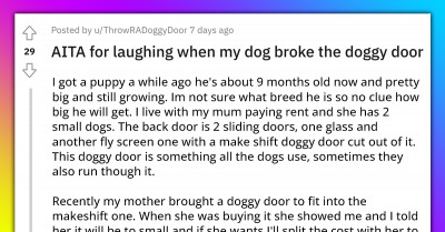 Dog Owner Laughs After His Large Puppy Ruins The Doggy Door He Warned His Mom Was Too Small