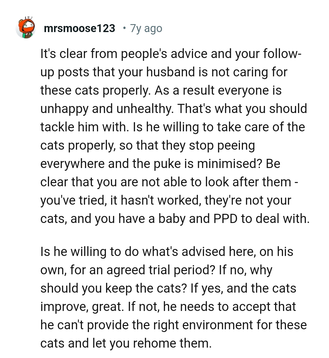 It's Clear OP's Husband Isn't Caring for the Cats