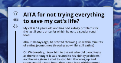 Man Branded Heartless For Wanting To End Elderly Cat’s Suffering Rather Than Prolong Its Low-Quality Life
