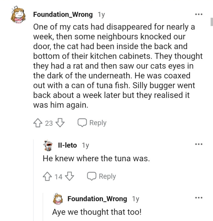 The cat knew where the tuna was