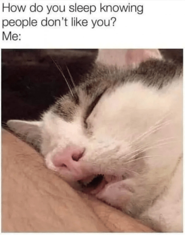 6. I sleep so soundly just like this cat