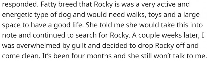 OP pretended to know nothing about the dog’s disappearance