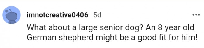 3. Giving him an 8-year-old German Shepherd