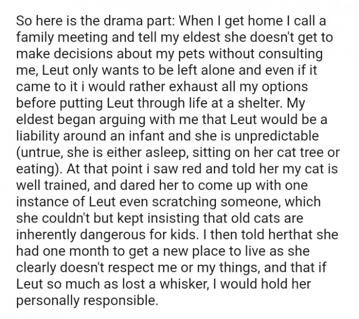 She kept insisting that old cat are dangerous for kids