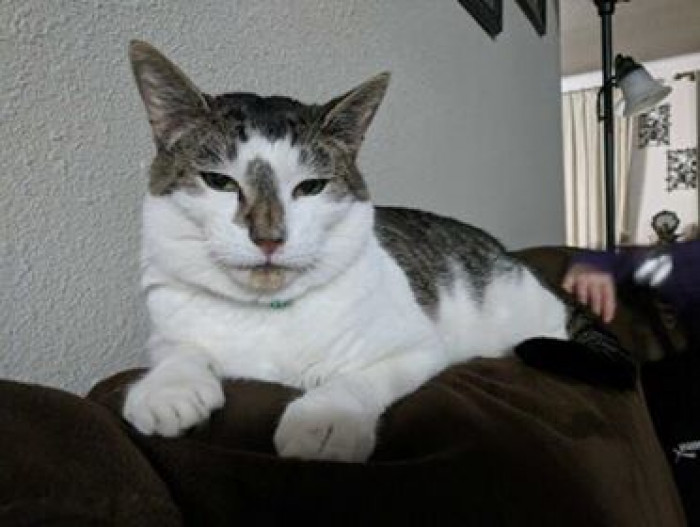 He immediately became the