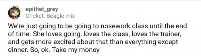 16. Nosework classes for their hound mix