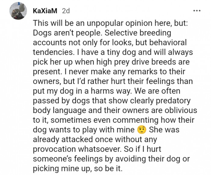 6. I never make any remarks to their owners