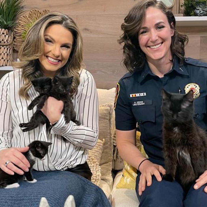That's not the end of Lt. Hoag's cat story because the kitty she adopted was about to become a mama