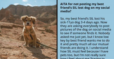 Redditor Refuses To Share Lost Dog On Her Social Media Because She Doesn't Like Its Owner, Gets Bashed By Online Community For Being Petty And Lazy